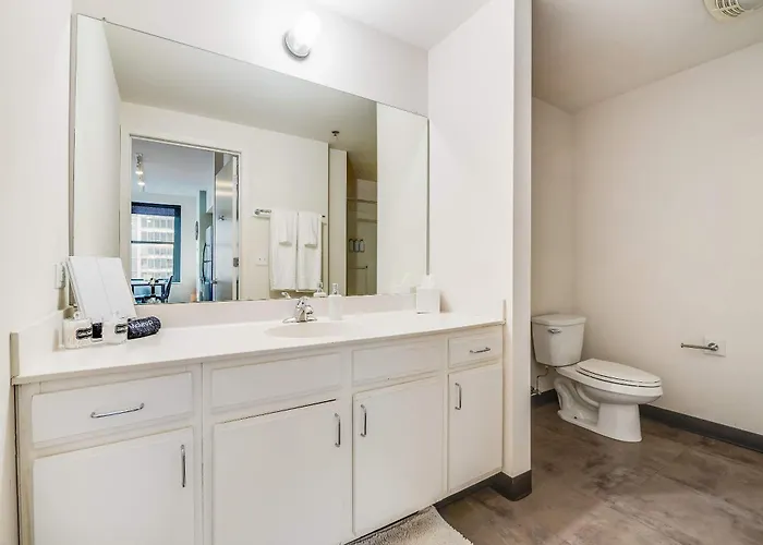 Apartment Downtown With Free In & Out Parking 3 Chicago