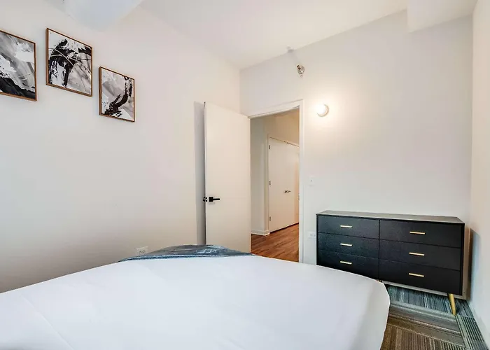 Downtown With Free In & Out Parking 3 Apartment Chicago
